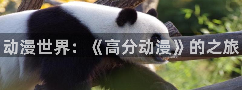 91动漫国产入口动漫